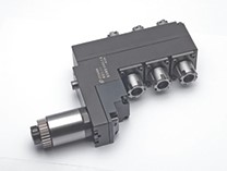 Dao-chinh-2